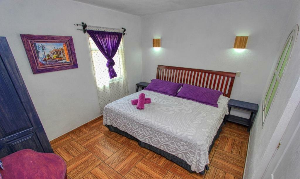 Hotel Spa Maggic Home Panoramica 瓜纳华托 外观 照片
