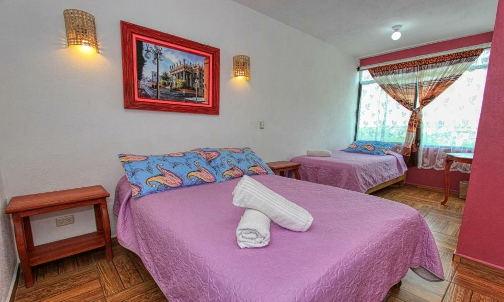 Hotel Spa Maggic Home Panoramica 瓜纳华托 外观 照片