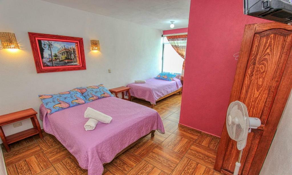Hotel Spa Maggic Home Panoramica 瓜纳华托 外观 照片