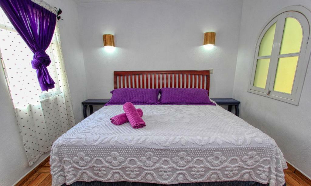 Hotel Spa Maggic Home Panoramica 瓜纳华托 外观 照片