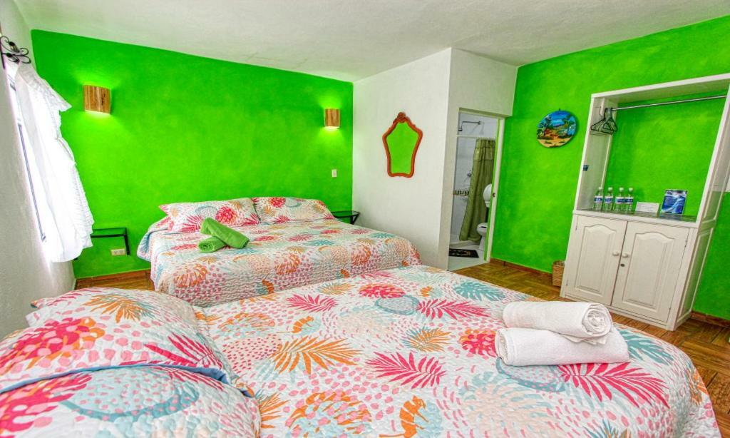 Hotel Spa Maggic Home Panoramica 瓜纳华托 外观 照片