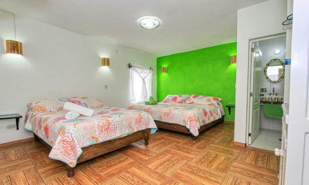 Hotel Spa Maggic Home Panoramica 瓜纳华托 外观 照片