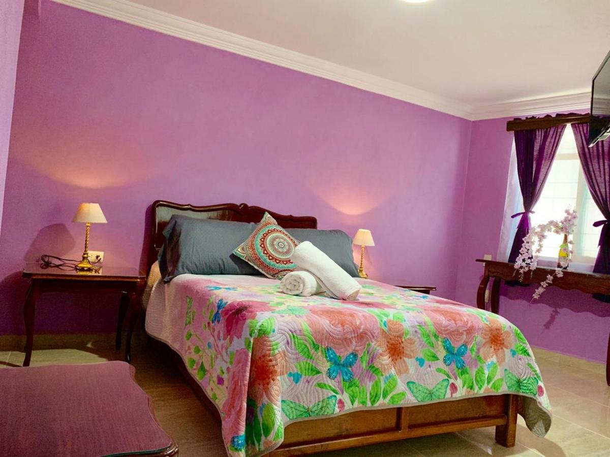 Hotel Spa Maggic Home Panoramica 瓜纳华托 外观 照片